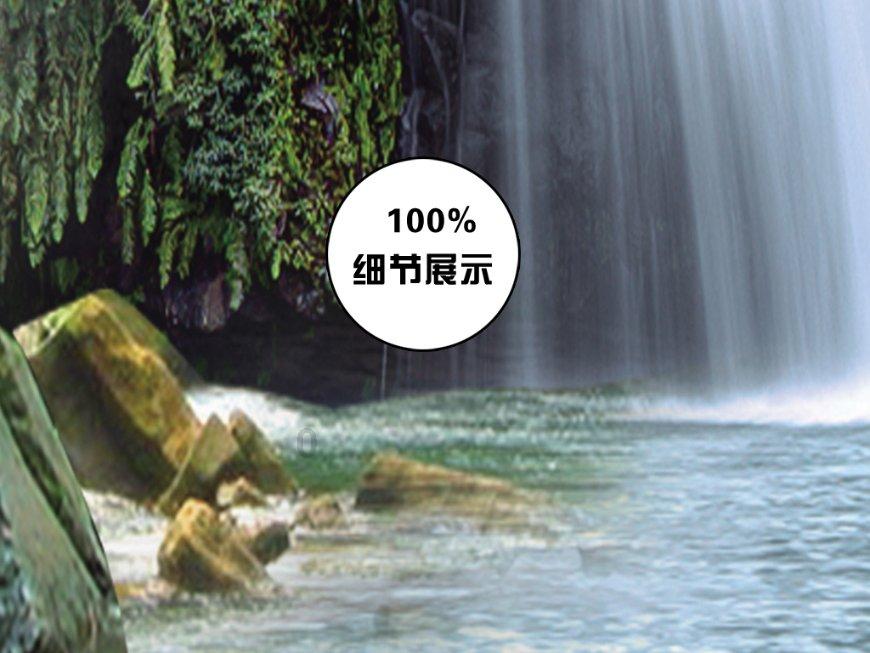 探索冷知识,尽在摩羯和狮子那个洞察力厉害平台
